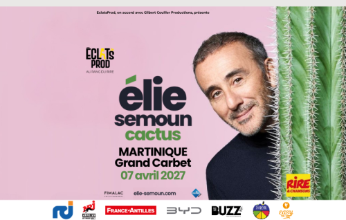 Spectacle De Elie Semoun En Martinique