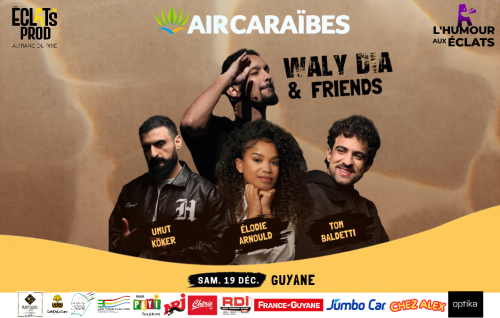 Plateau Humour Aux Eclats Vol 2 Avec Waly Dia, Tom Baldetti, Umut Koker Et Elodie Arnould