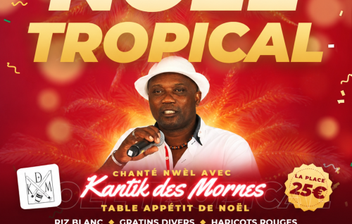 Soirée Noël Tropical