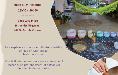 Voyage Sonore En Apesanteur
