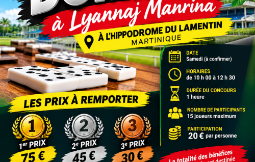Grand Concours De Dominos À Lyannaj Manrina