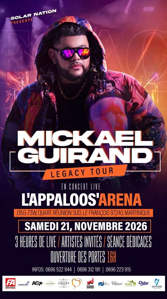 Mickael Guirand - Vayb - Affiche