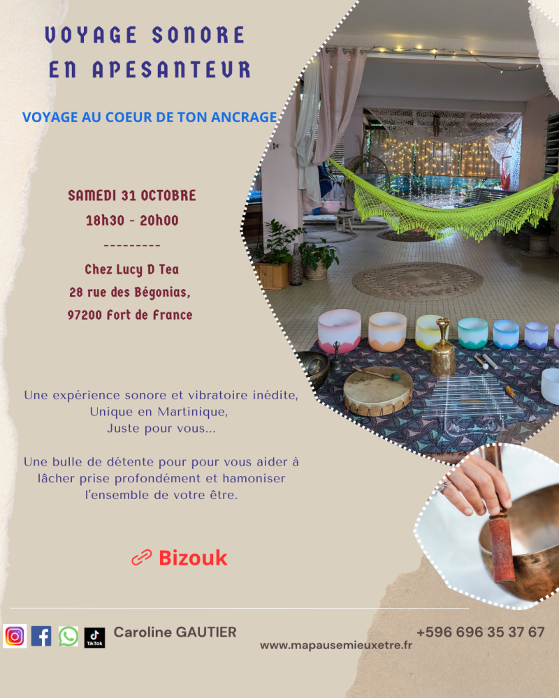 Voyage Sonore En Apesanteur  - Affiche