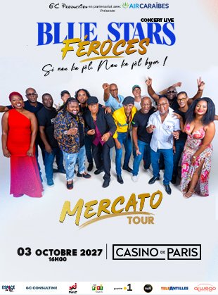 Blue Stars Forces - Affiche