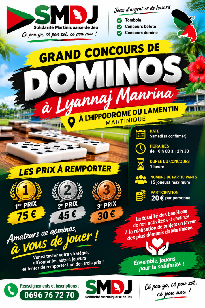 Grand Concours De Dominos À Lyannaj Manrina - Affiche